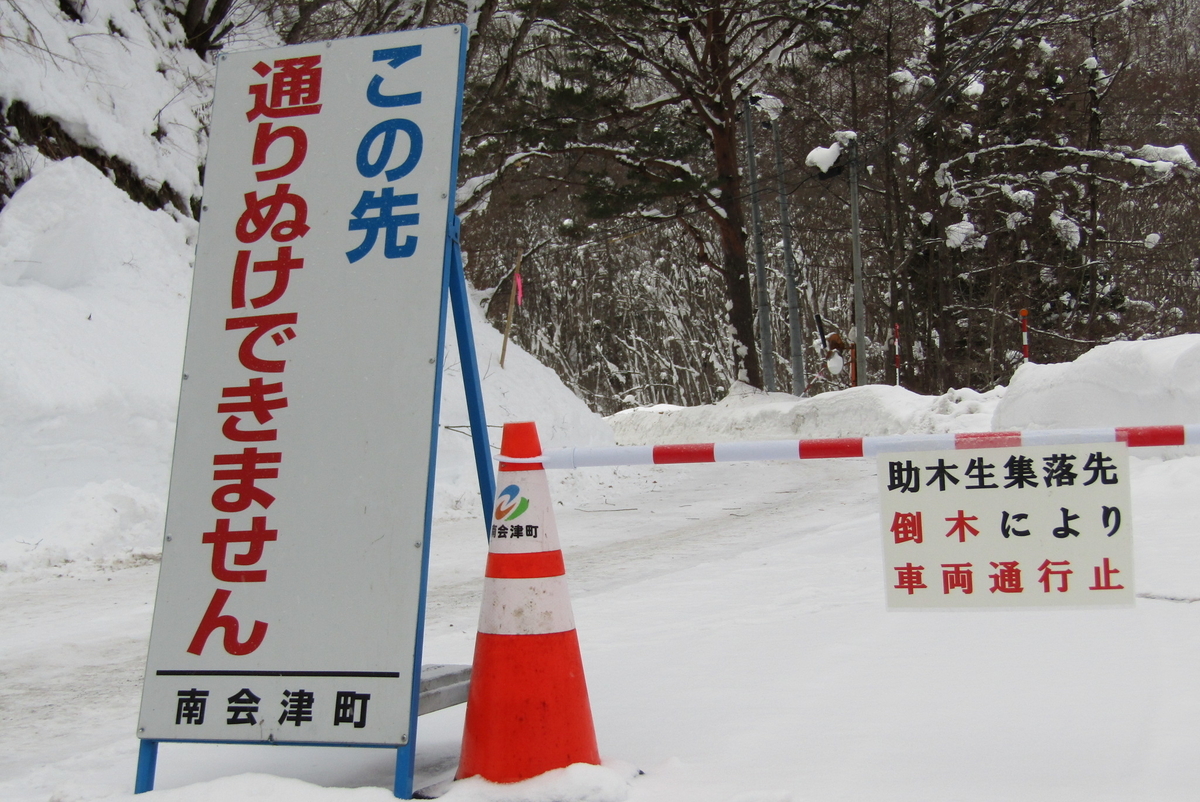 恵みの雪も降り過ぎ - 南会津町たのせ集落