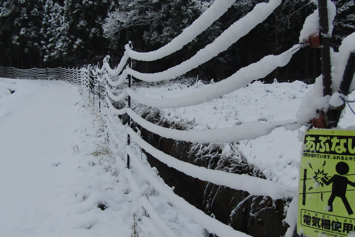 初雪 初雪 - 南会津町たのせ集落