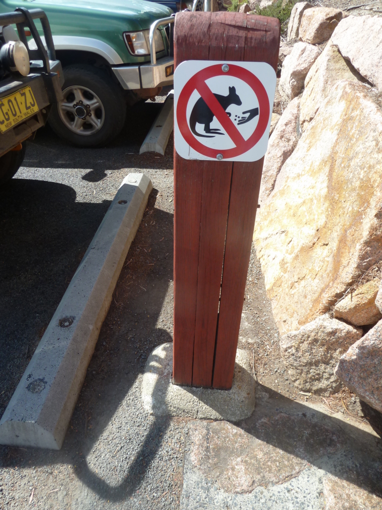 f:id:tanoshiiau:20170729220842j:plain