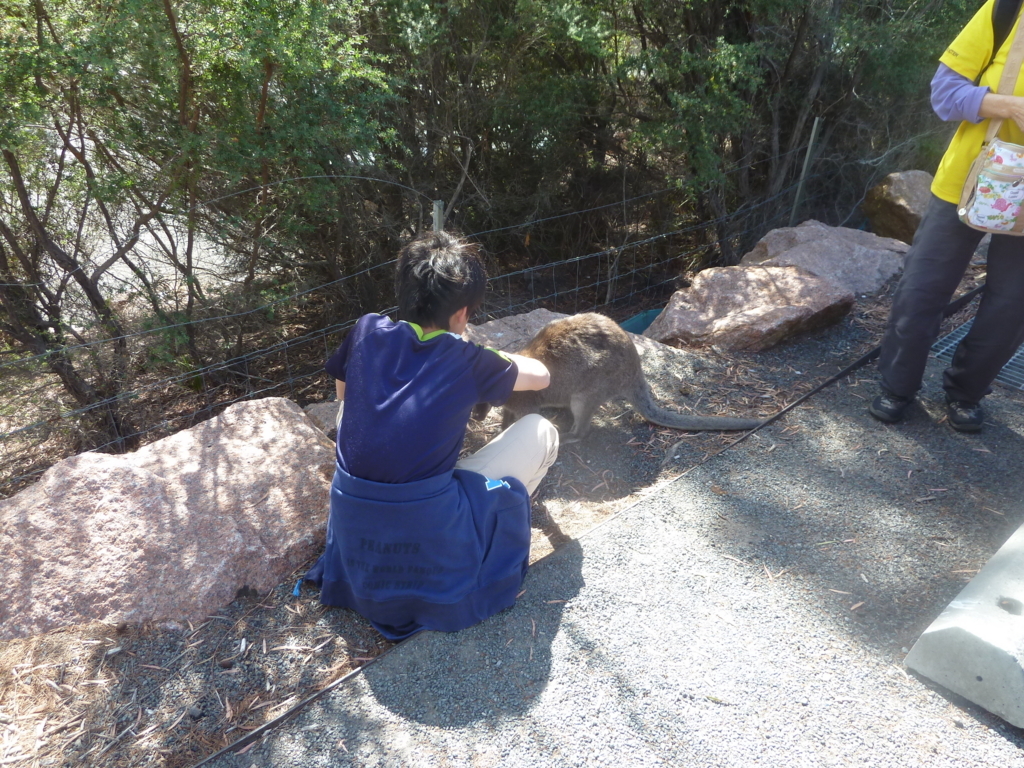 f:id:tanoshiiau:20170729220957j:plain