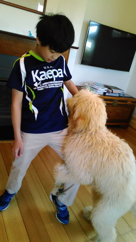 f:id:tanoshiiau:20171022221859j:plain