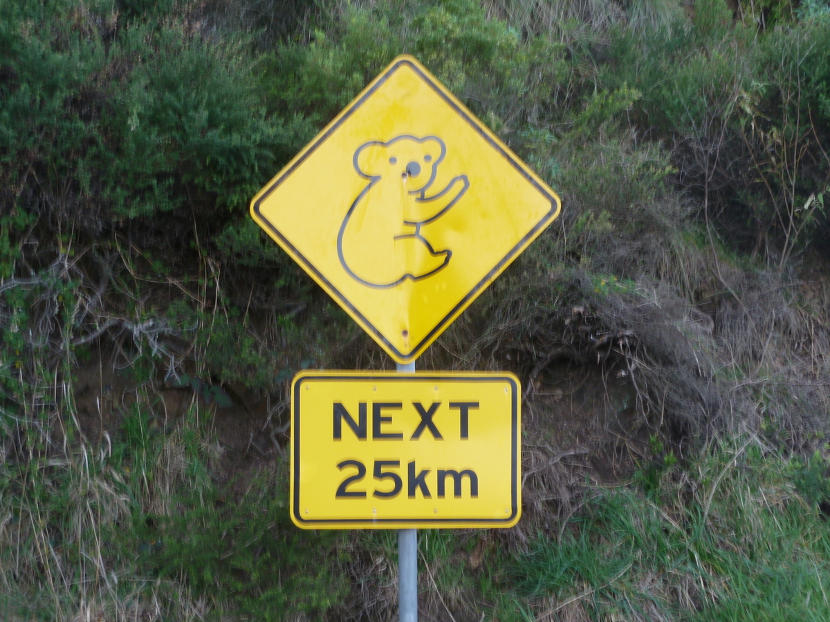 f:id:tanoshiiau:20210417225512j:plain