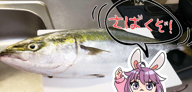f:id:tanosiigohan:20230724193304j:image