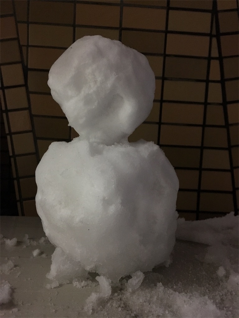 f:id:tanosinakama:20180123213019j:image