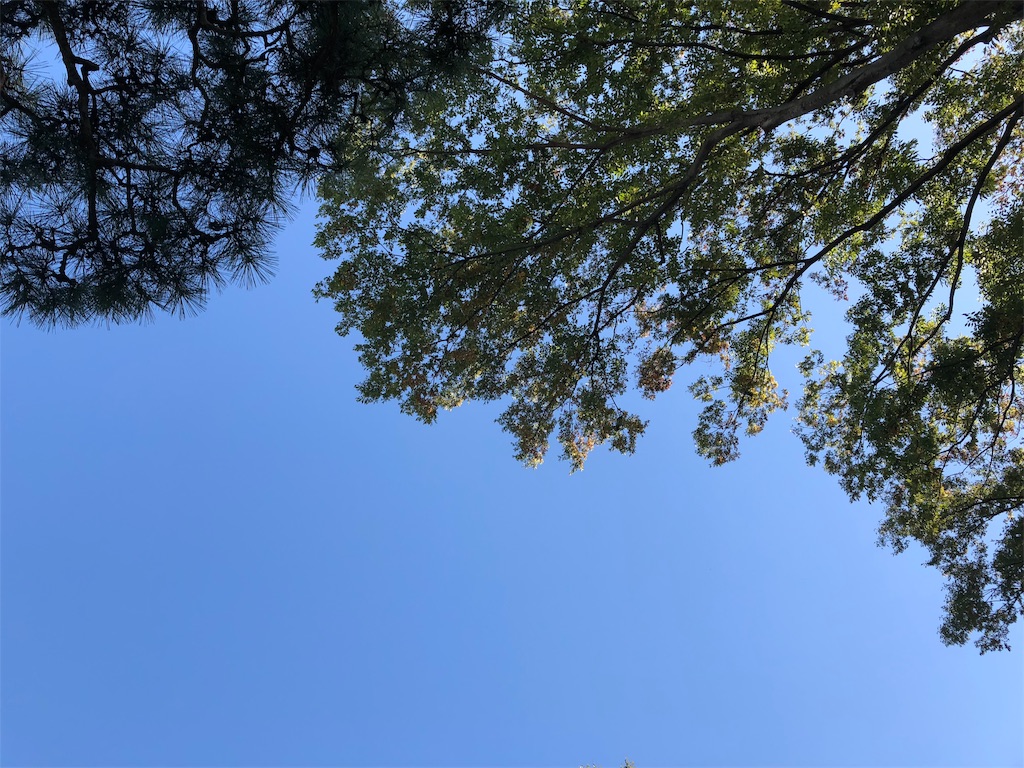 f:id:tanosinakama:20181021192028j:image