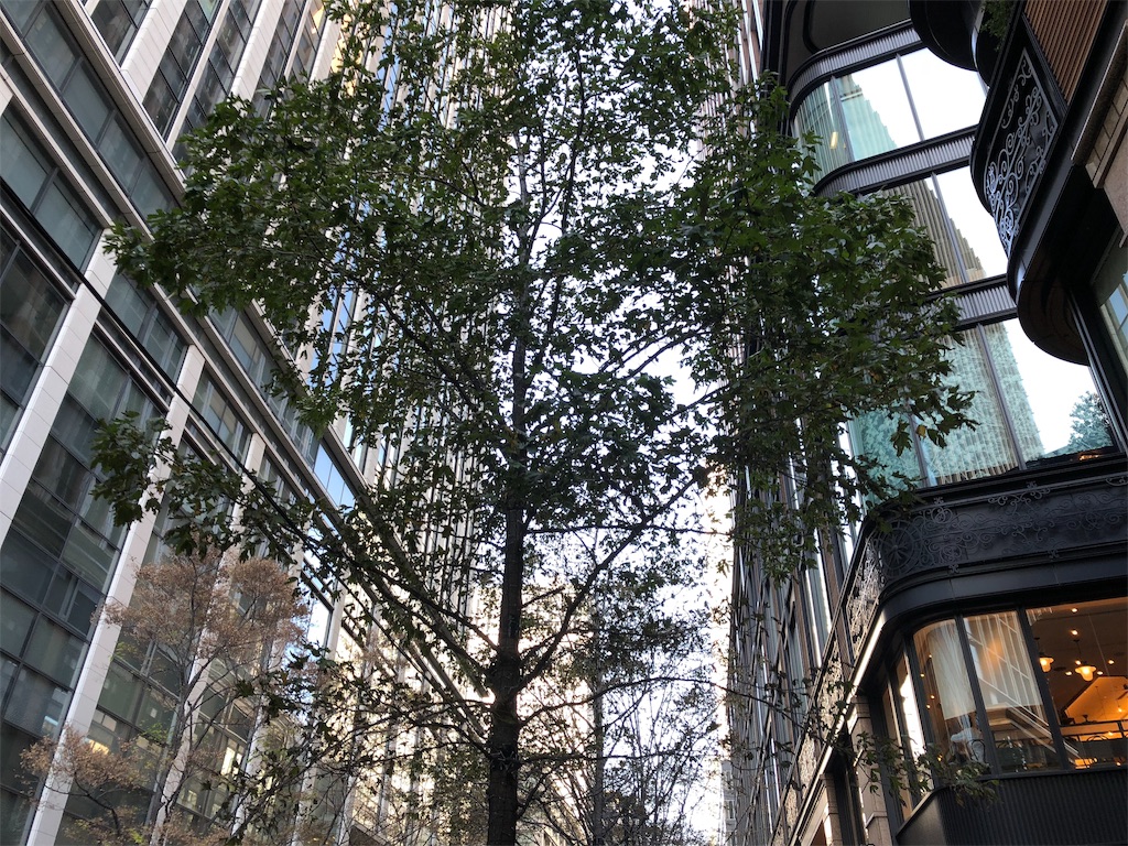 f:id:tanosinakama:20181021192112j:image