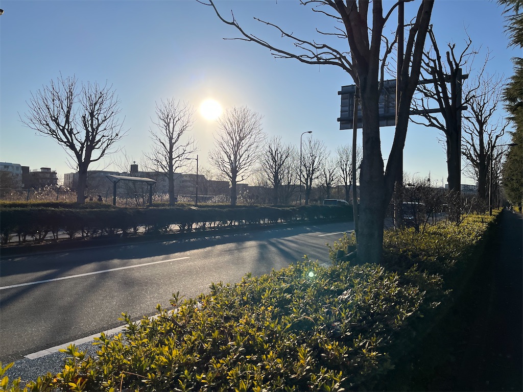 f:id:tanosinakama:20230111162038j:image