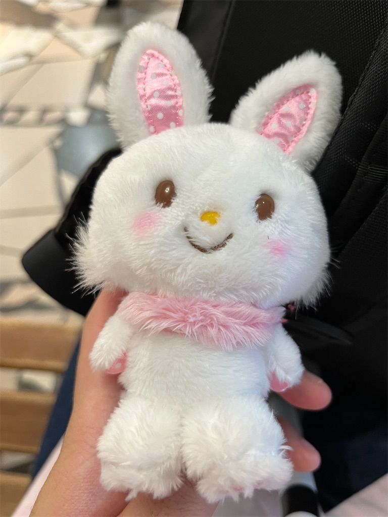 f:id:tanosinakama:20230407223841j:image