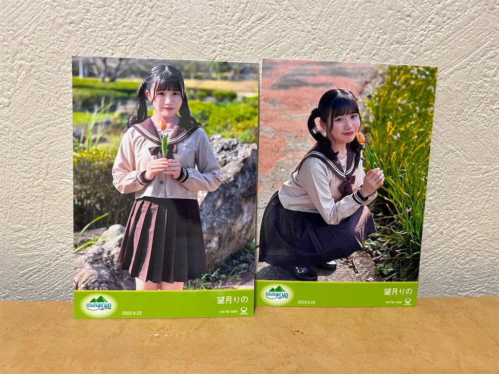 f:id:tanosinakama:20231121183541j:image