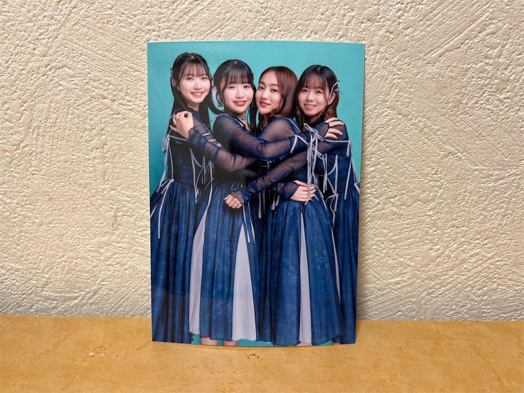 f:id:tanosinakama:20240621214826j:image