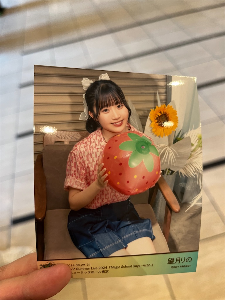f:id:tanosinakama:20240831191541j:image