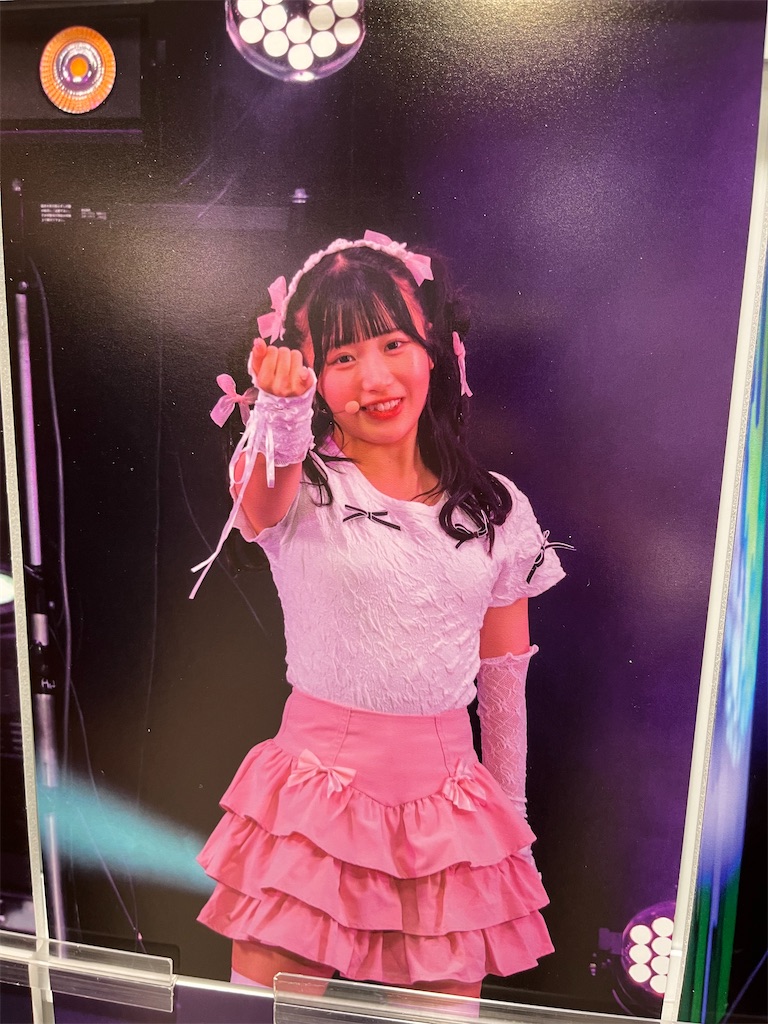 f:id:tanosinakama:20241030223529j:image
