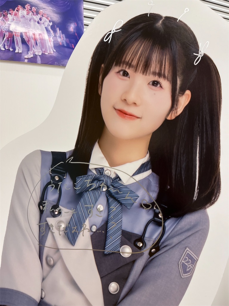 f:id:tanosinakama:20241031064237j:image