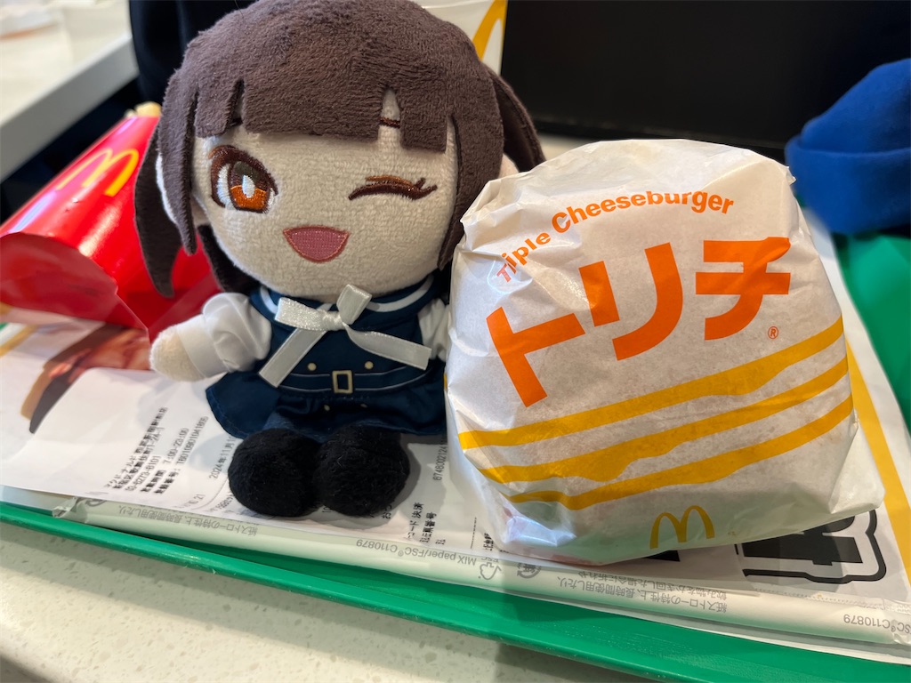 f:id:tanosinakama:20241113173355j:image