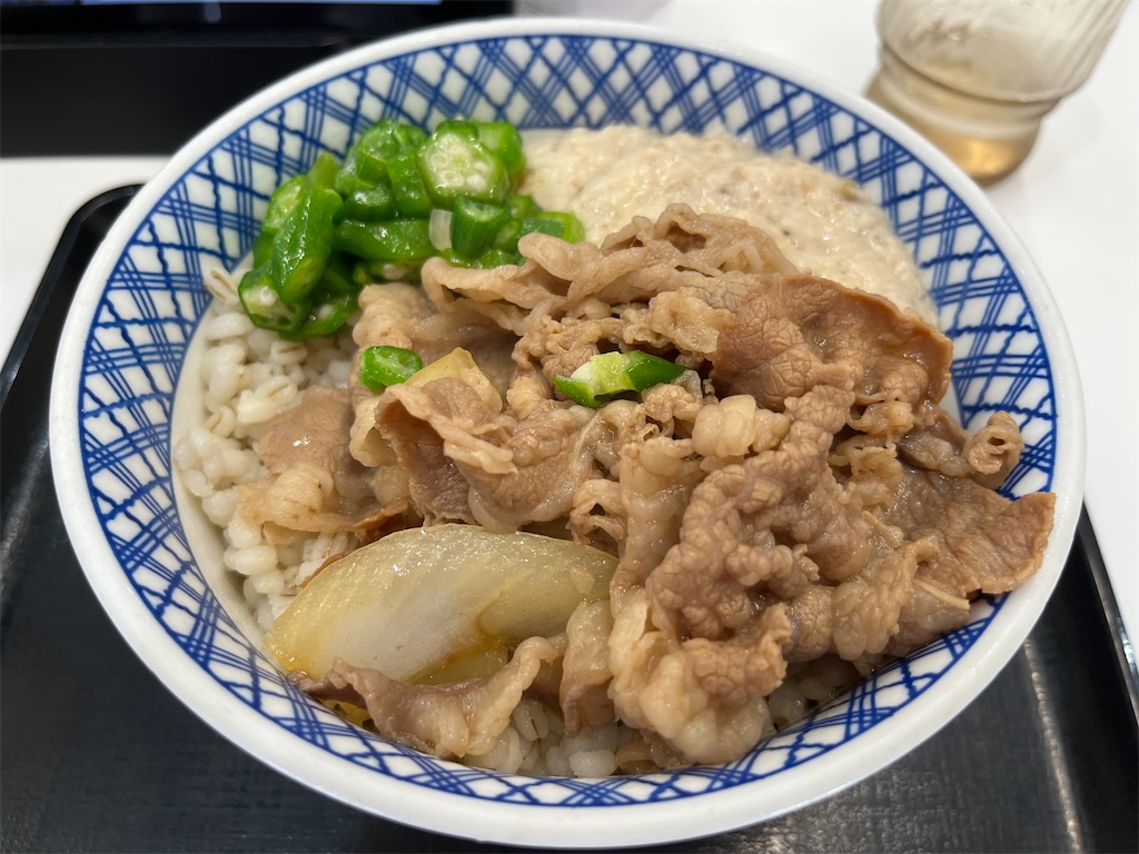 f:id:tanosinakama:20250607072647j:image