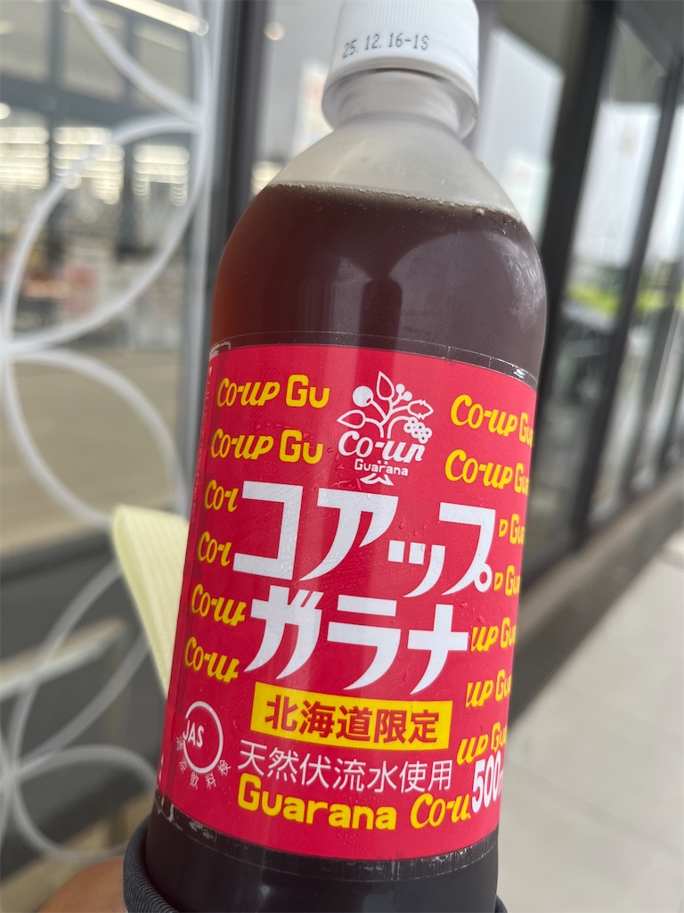 f:id:tanosinakama:20250715213458j:image