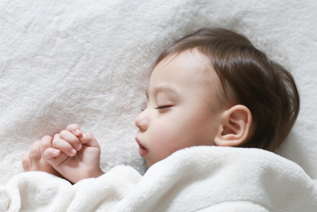 f:id:tanotanonikki:20181201162422j:plain f:id:tanotanonikki:20181201162422j:plain