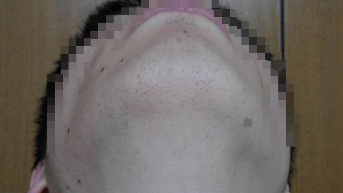 f:id:tanotanonikki:20190407134704j:plain f:id:tanotanonikki:20190407134704j:plain