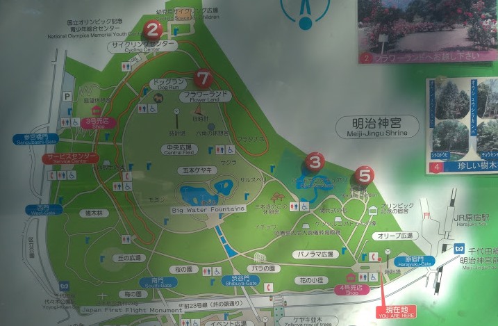 f:id:tanotanonikki:20191006170305j:plain