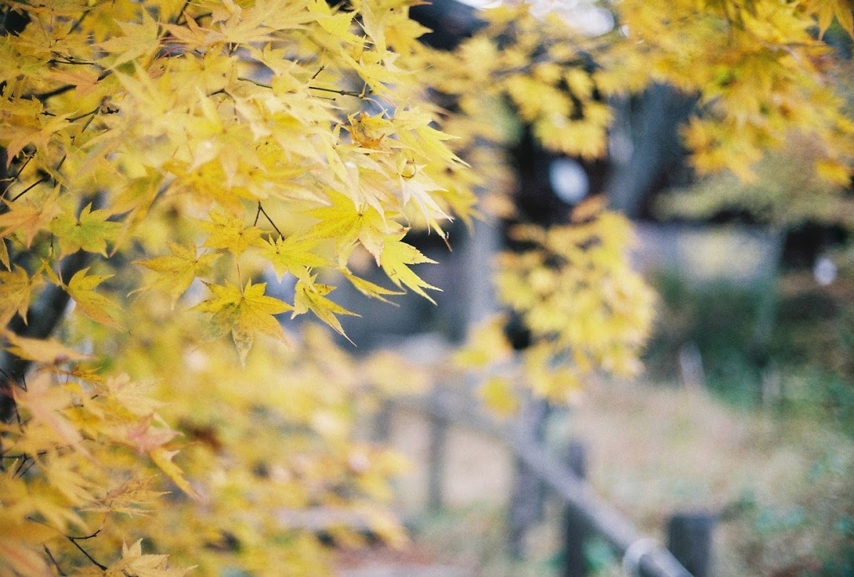 f:id:tanpatu_shiogao:20200524200220j:plain f:id:tanpatu_shiogao:20200524200220j:plain