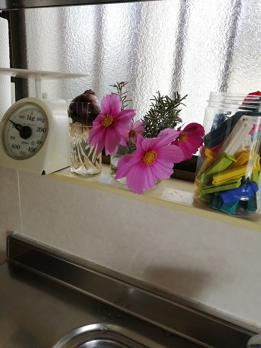 f:id:tanpopo-keikoniki:20211110150441j:plain