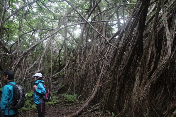 f:id:tanshin:20111217201346j:image f:id:tanshin:20111217201346j:image