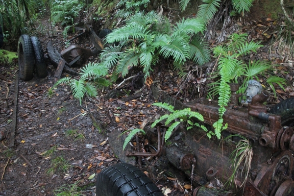 f:id:tanshin:20111217201347j:image f:id:tanshin:20111217201347j:image