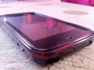 f:id:tanshinblog:20101211113219j:image f:id:tanshinblog:20101211113219j:image