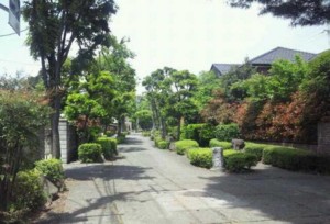 f:id:tanshinblog:20110514151635j:image f:id:tanshinblog:20110514151635j:image