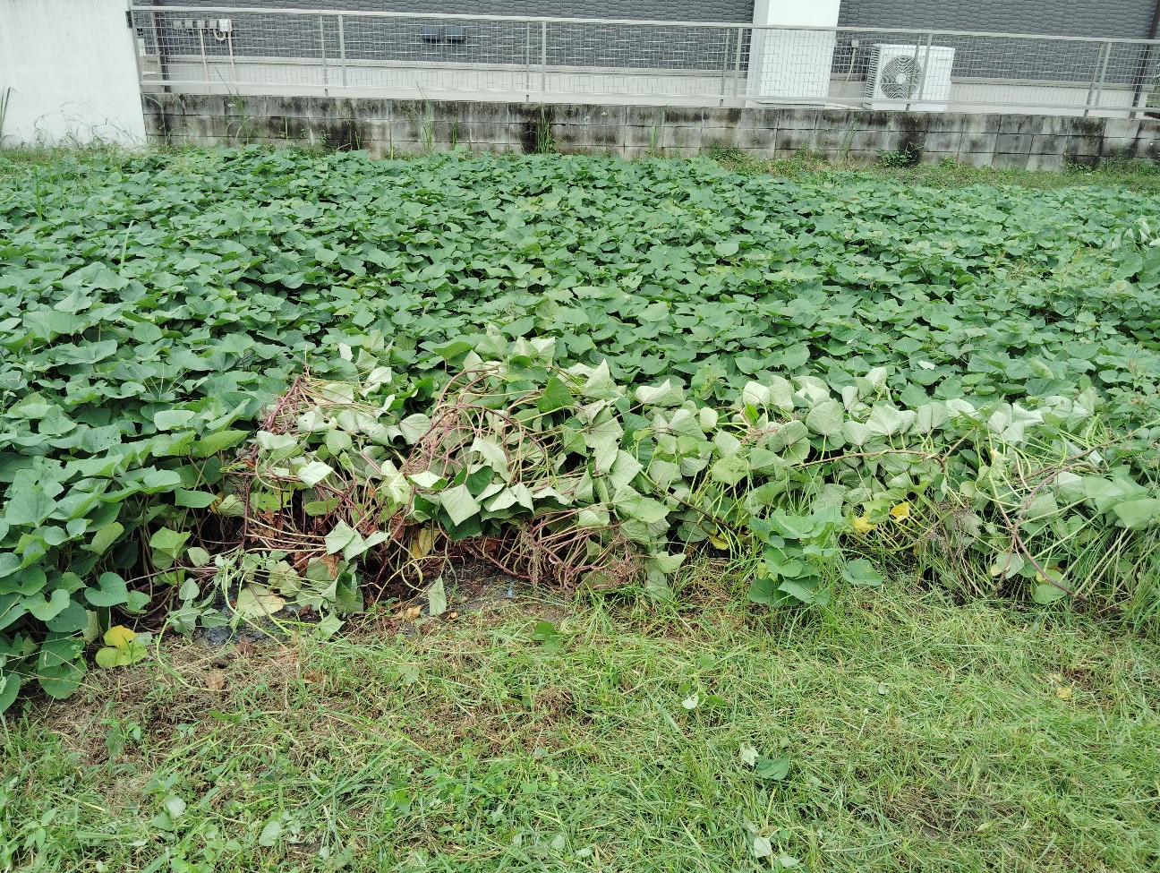 f:id:tanshinfuninhyogo:20260927152852j:image f:id:tanshinfuninhyogo:20260927152852j:image