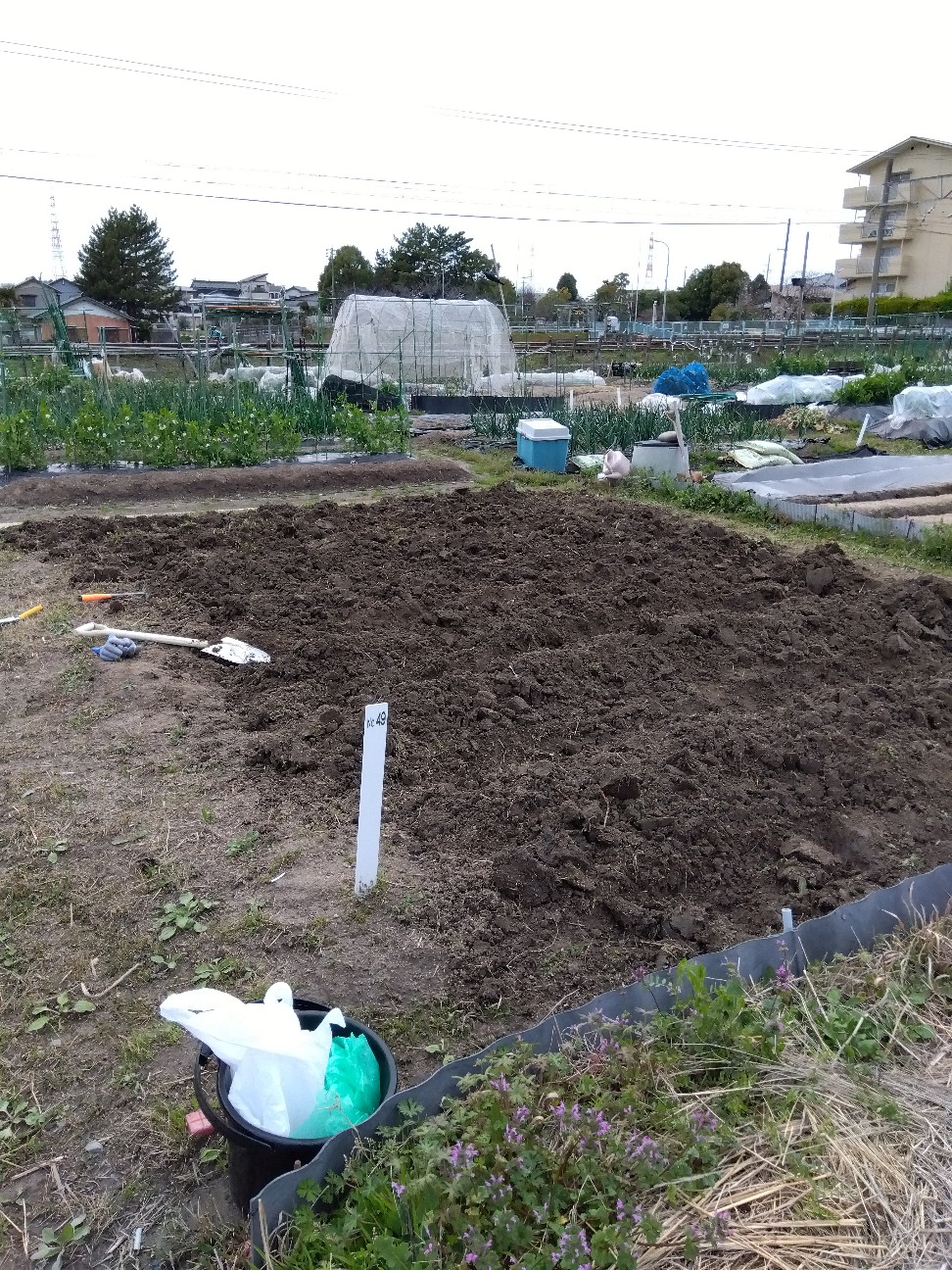 f:id:tanshinfuninhyogo:20261004153859j:image f:id:tanshinfuninhyogo:20261004153859j:image
