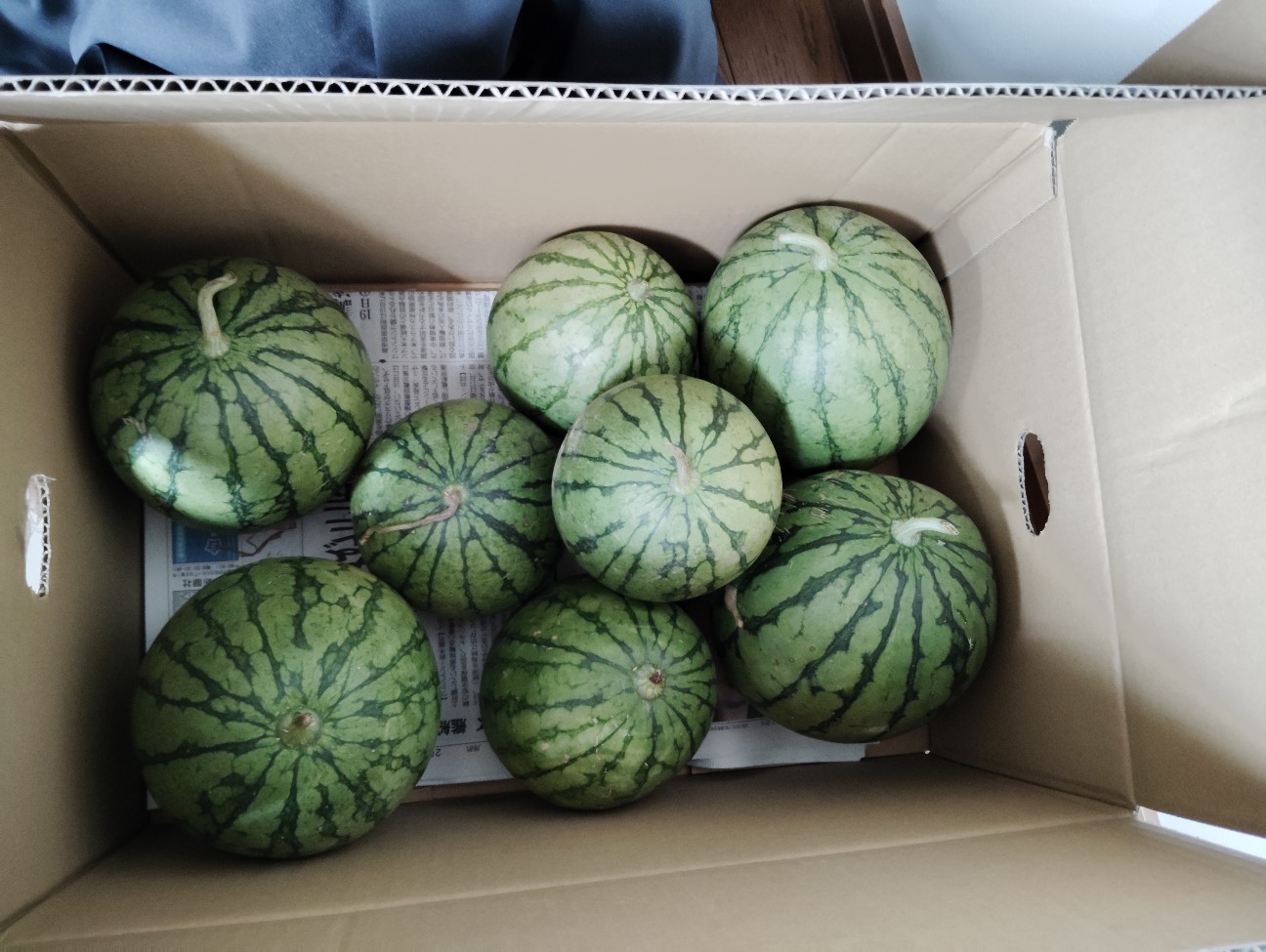 f:id:tanshinfuninhyogo:20261004155101j:image f:id:tanshinfuninhyogo:20261004155101j:image