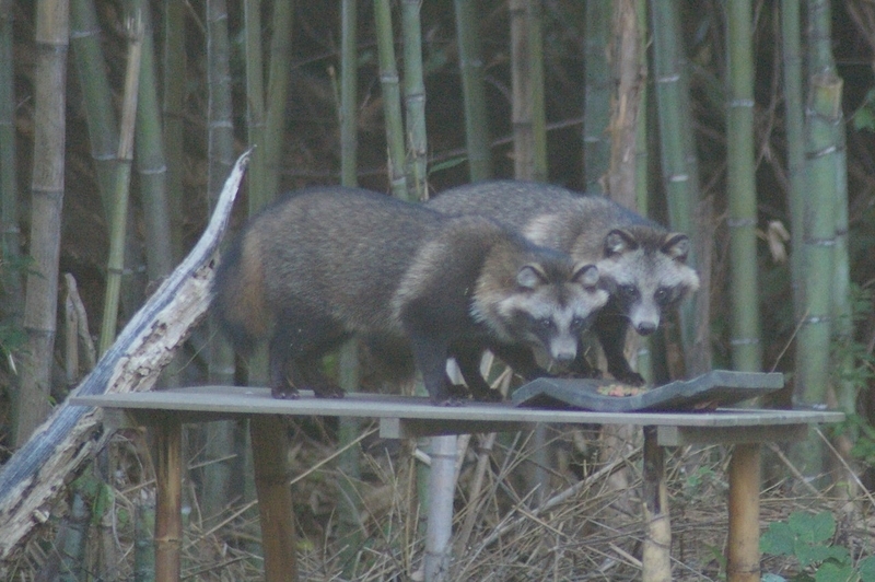 イメージ 7