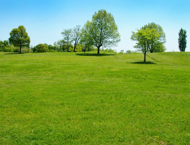 f:id:tantankotantan:20180705223420j:plain f:id:tantankotantan:20180705223420j:plain