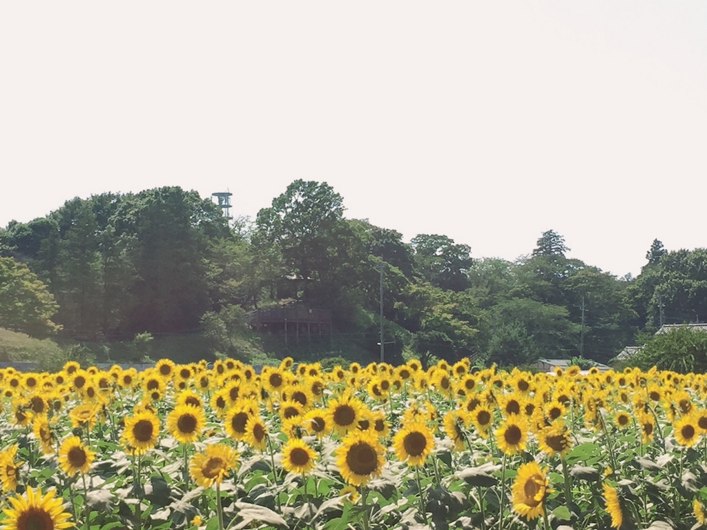 f:id:tantankotantan:20180724183601j:plain f:id:tantankotantan:20180724183601j:plain