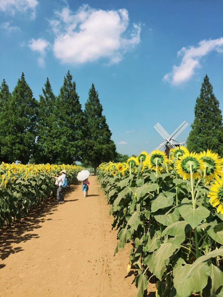 f:id:tantankotantan:20180724183956j:plain f:id:tantankotantan:20180724183956j:plain