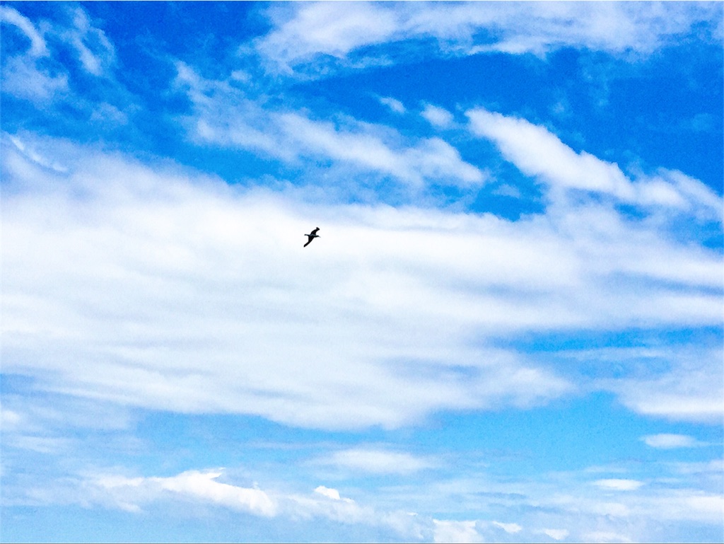 f:id:tantankotantan:20180904225108j:image f:id:tantankotantan:20180904225108j:image