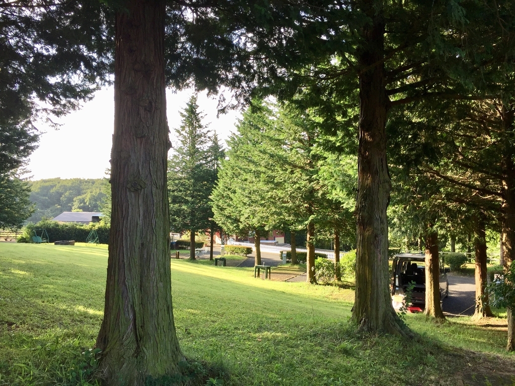 f:id:tantankotantan:20180925194454j:plain