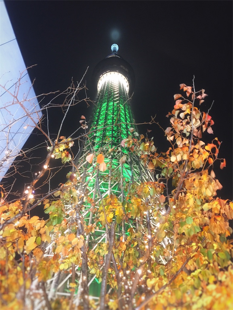 f:id:tantankotantan:20181204202836j:image f:id:tantankotantan:20181204202836j:image
