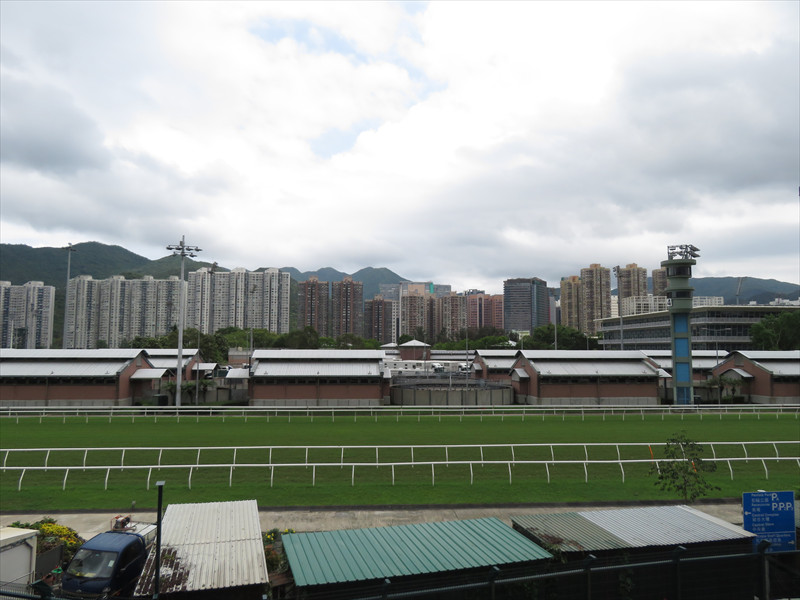 沙田競馬場