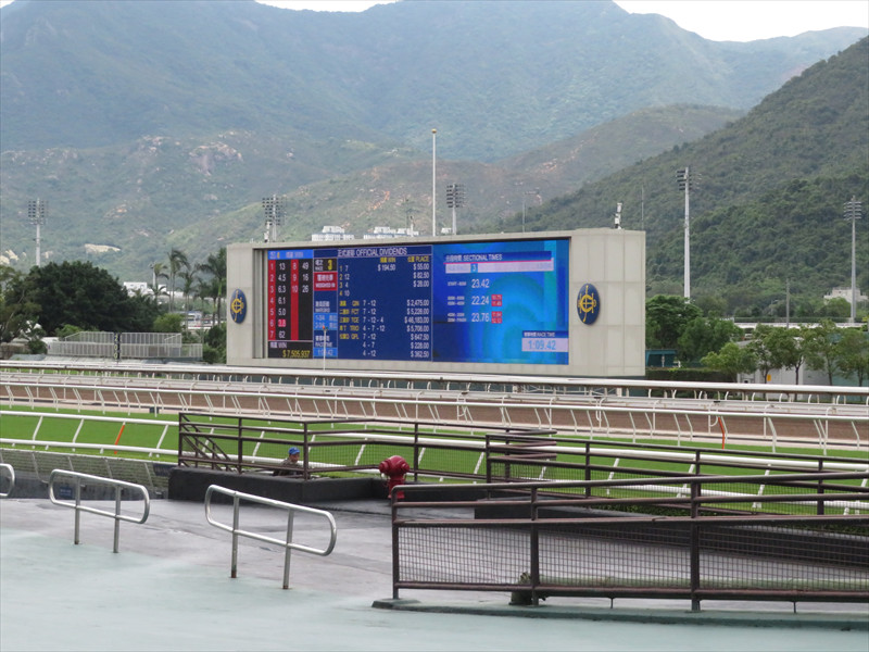 沙田競馬場