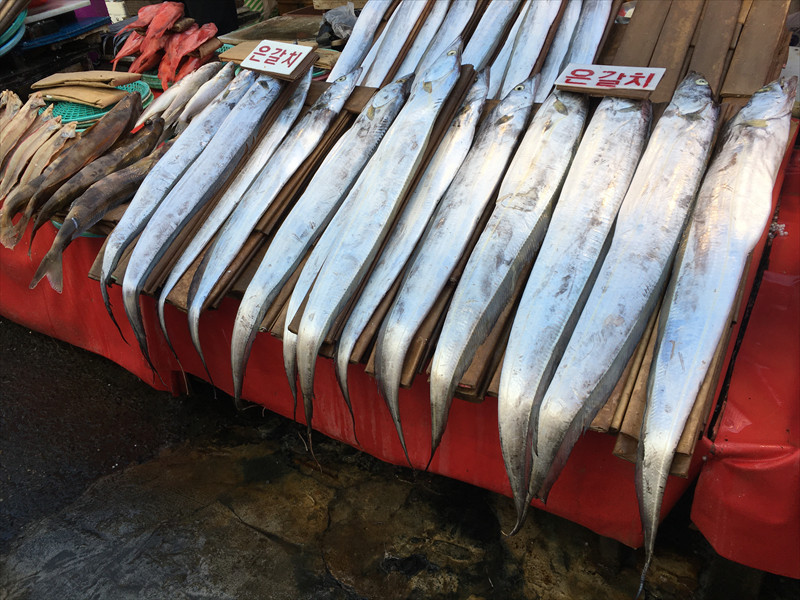 チャガルチ市場