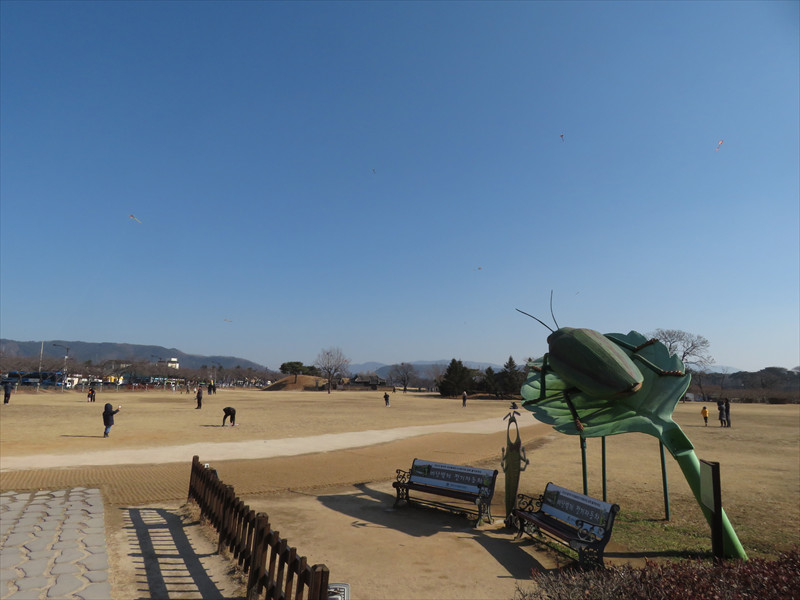 タマムシ公園
