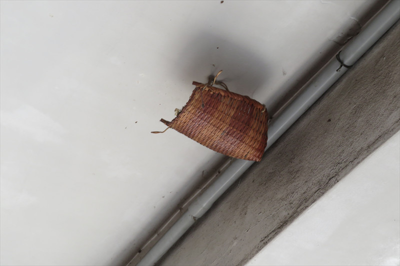 小さな箕がツバメのために