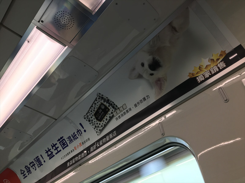 益菌の革命