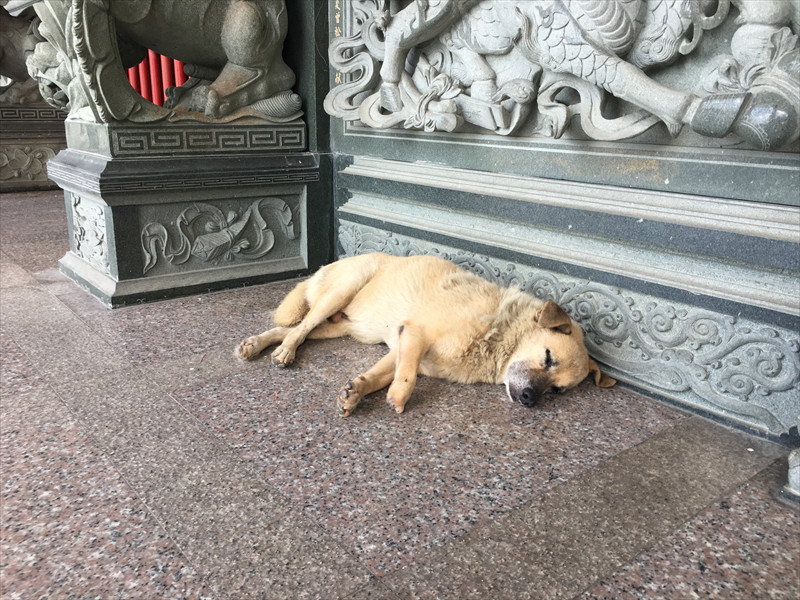 霞海城隍廟