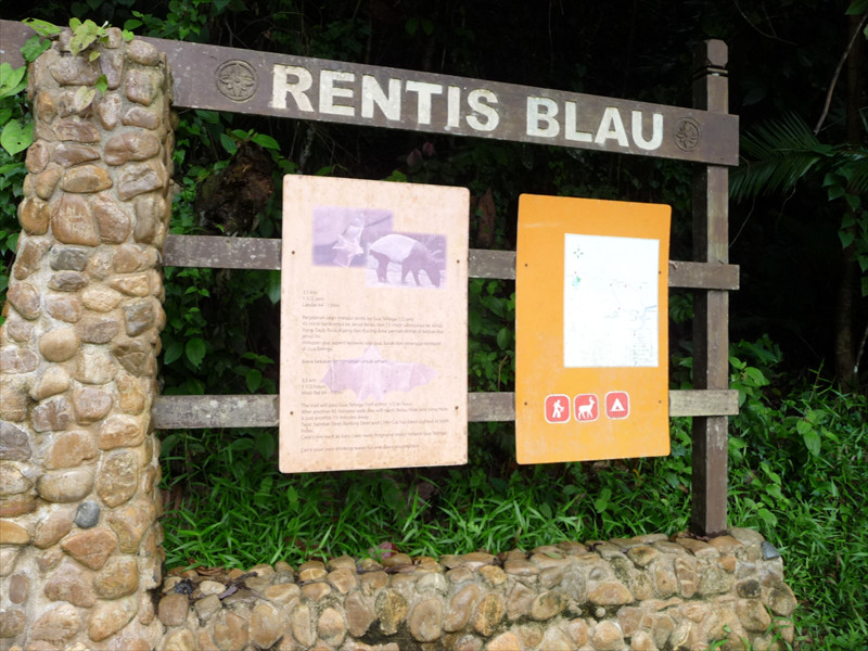 RENTIS BLAU