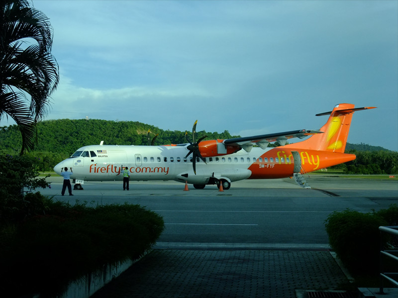 ファイアフライ航空