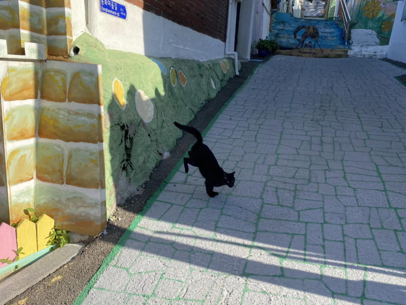 童話の村の黒猫