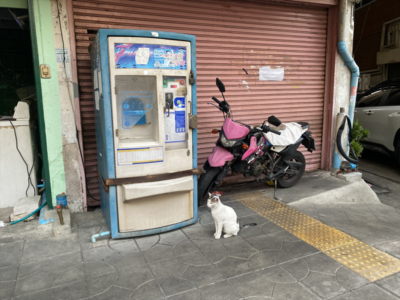 ウォーターサーバーと猫ちゃん